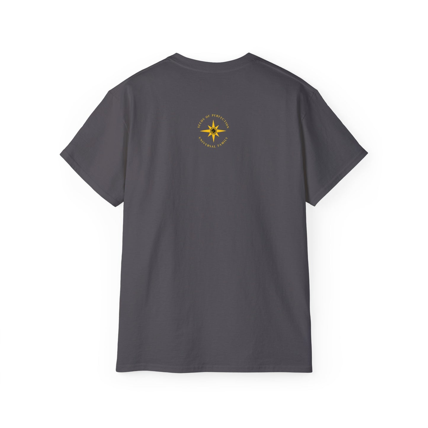 "Protectors Of Righteousness" Shaolin Tee