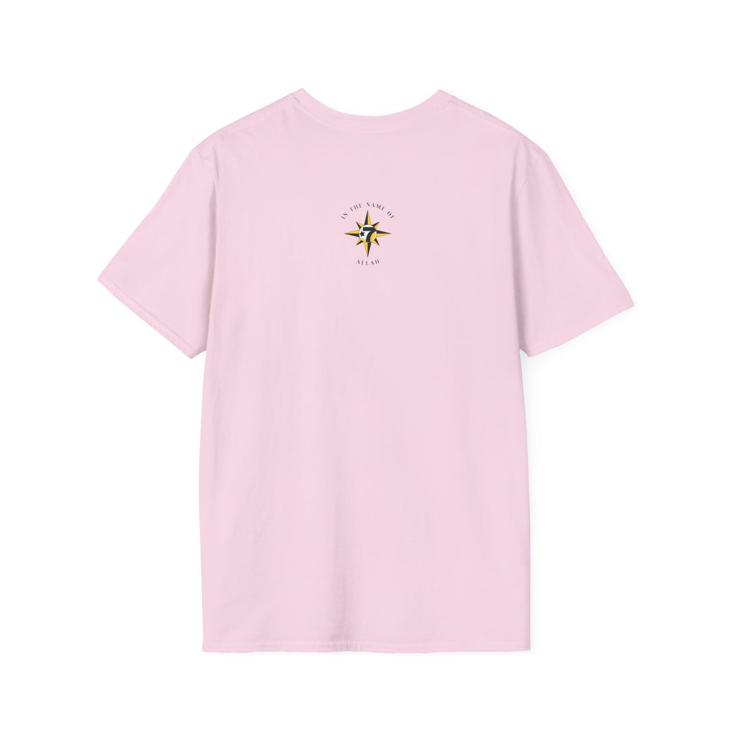Supreme Mathematics CipherUnisex Softstyle T-Shirt